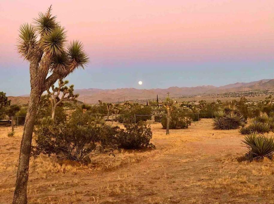 Desert Dreamerユッカ・バレー エクステリア 写真